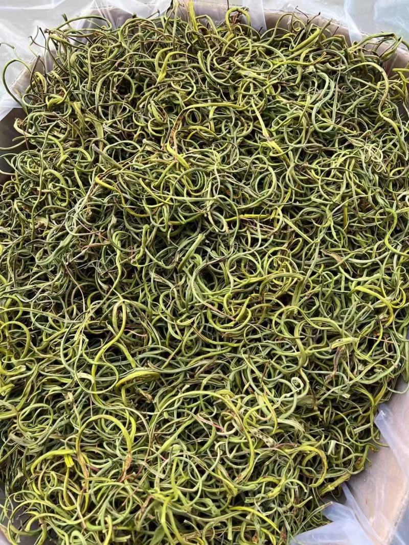 川西高原…桑黄，化石草，马蹄黄