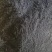 羊粪发酵腐蚀微生物有机添加氨基酸复合肥料