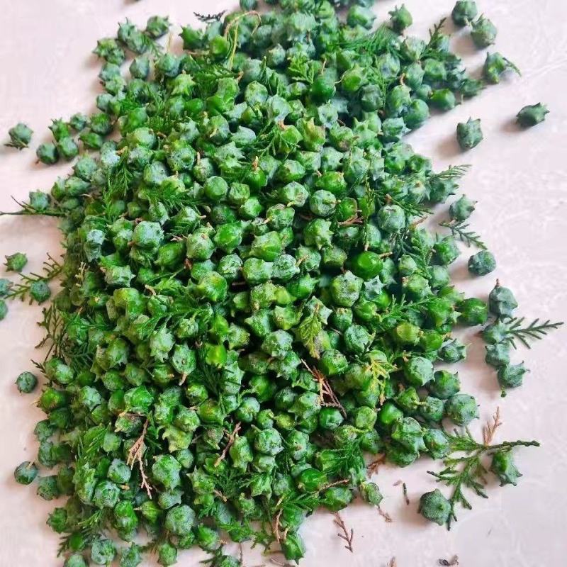 柏树果柏树疙瘩新鲜货