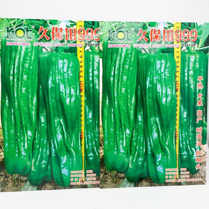 久保田999大果薄皮辣椒种子早熟耐高温抗煳头灯笼椒种原装