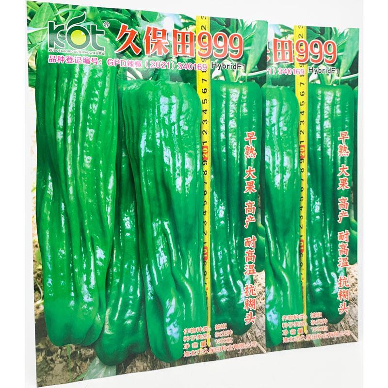 久保田999大果薄皮辣椒种子早熟耐高温抗煳头灯笼椒种原装