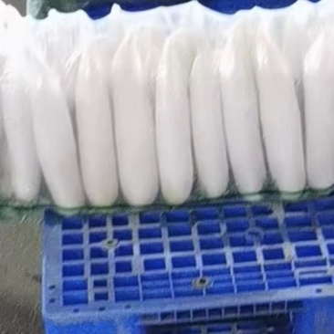 (精品)白萝卜,大量走车,专业合作社,清洗,发冷,发货