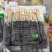 精品臭豆腐串，烧烤店，夜市店，酒店等均可使用，网红爆品。