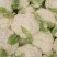 甘肃高原夏菜
