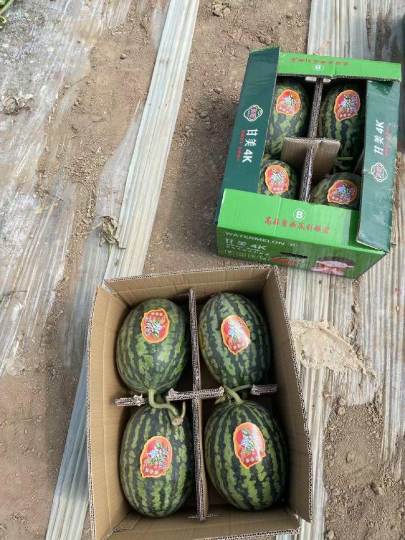 精品四k基地直销量大从优欢迎来电咨询