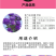 翠菊种子庭院花海打造夏秋开花易活籽鲜花盆栽花草种孑耐旱花