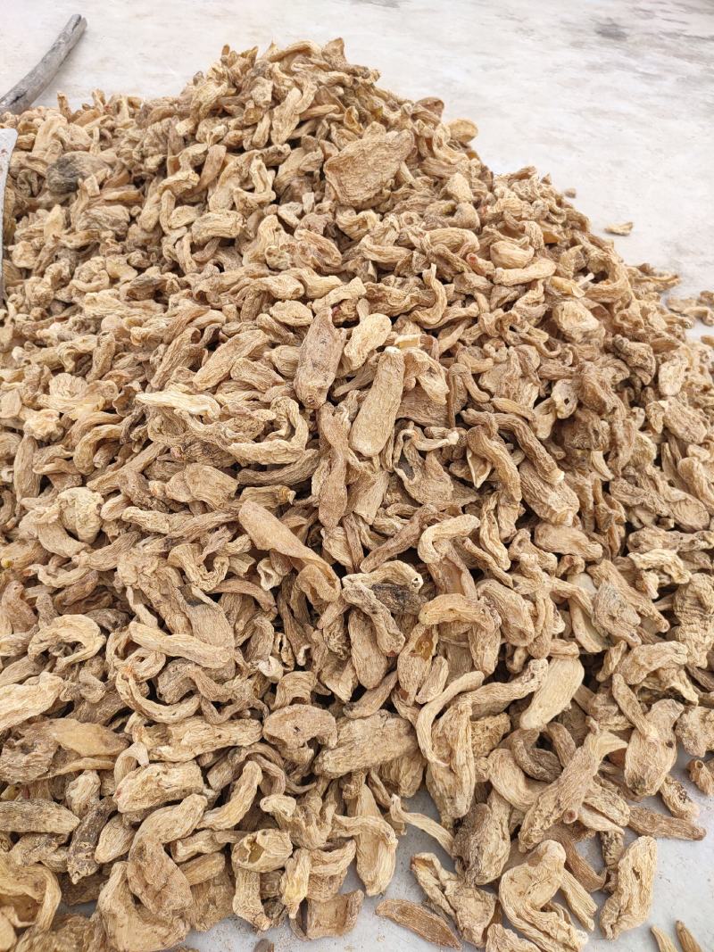 云南昭通小草坝打粉天麻。