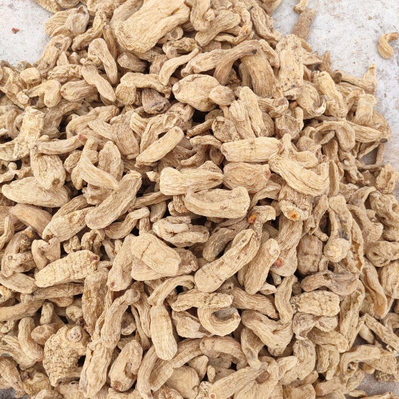 云南昭通小草坝打粉天麻。