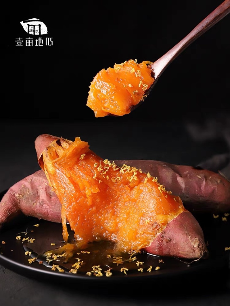 烟薯25蜜薯烤薯一件代发产地直发保质保量对接电商抖手