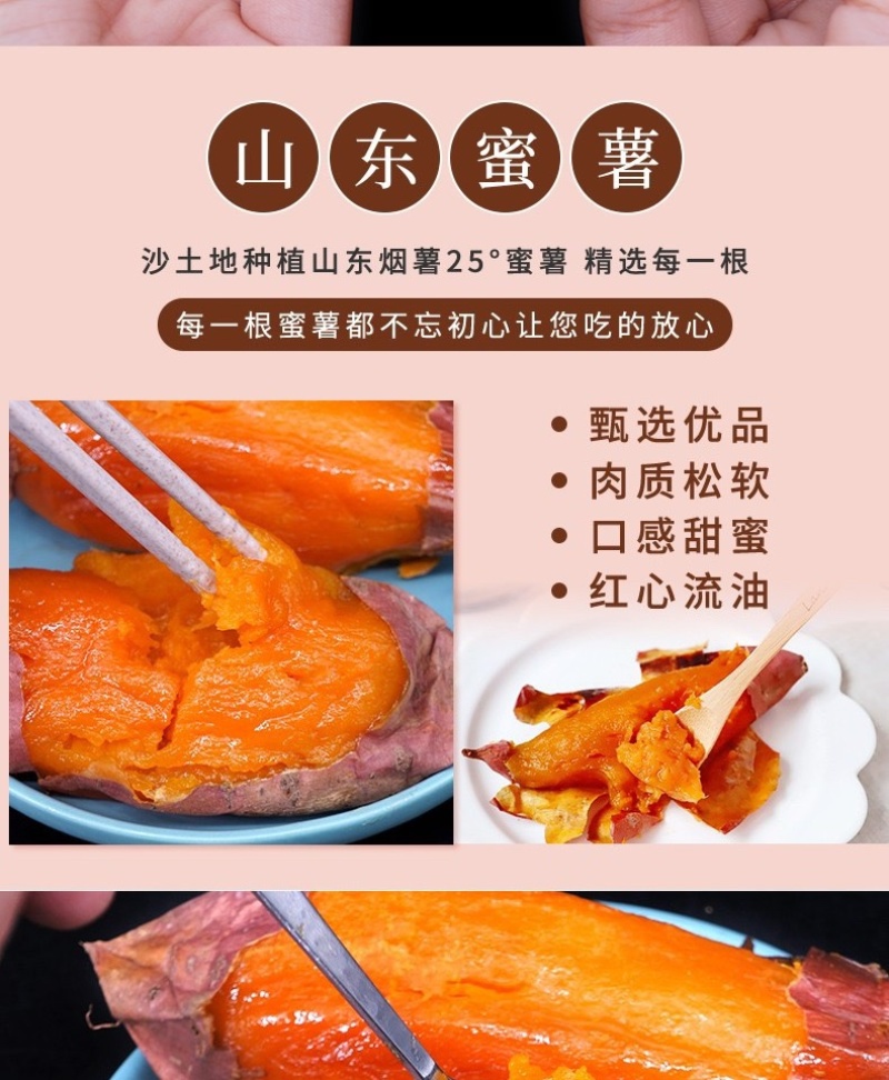 烟薯25蜜薯烤薯一件代发产地直发保质保量对接电商抖手