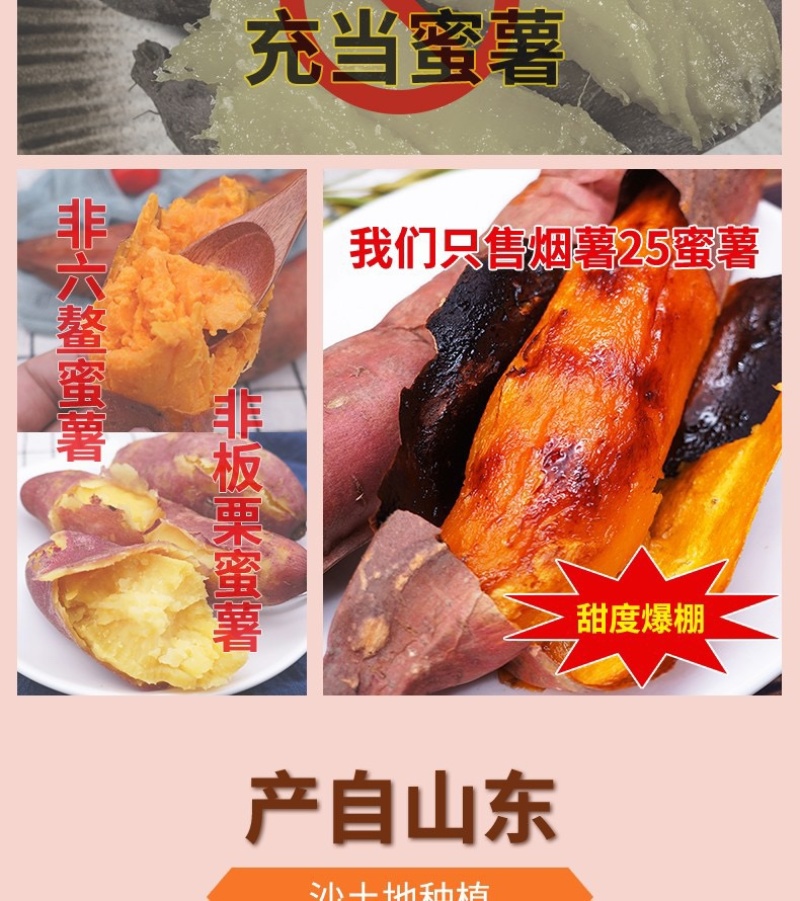 烟薯25蜜薯烤薯一件代发产地直发保质保量对接电商抖手