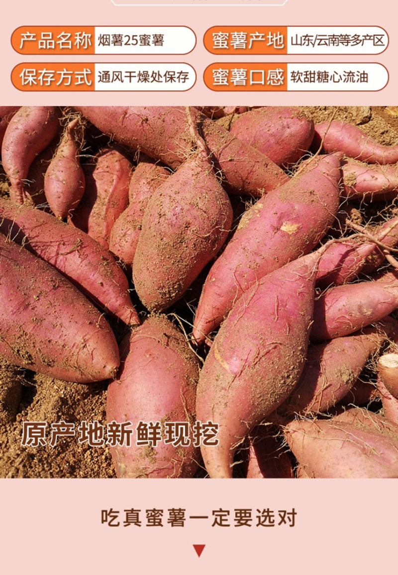 烟薯25蜜薯烤薯一件代发产地直发保质保量对接电商抖手