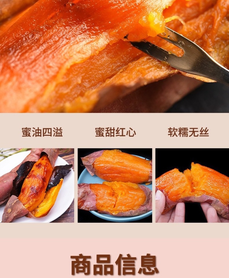 烟薯25蜜薯烤薯一件代发产地直发保质保量对接电商抖手