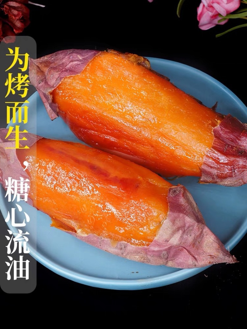 烟薯25蜜薯烤薯一件代发产地直发保质保量对接电商抖手