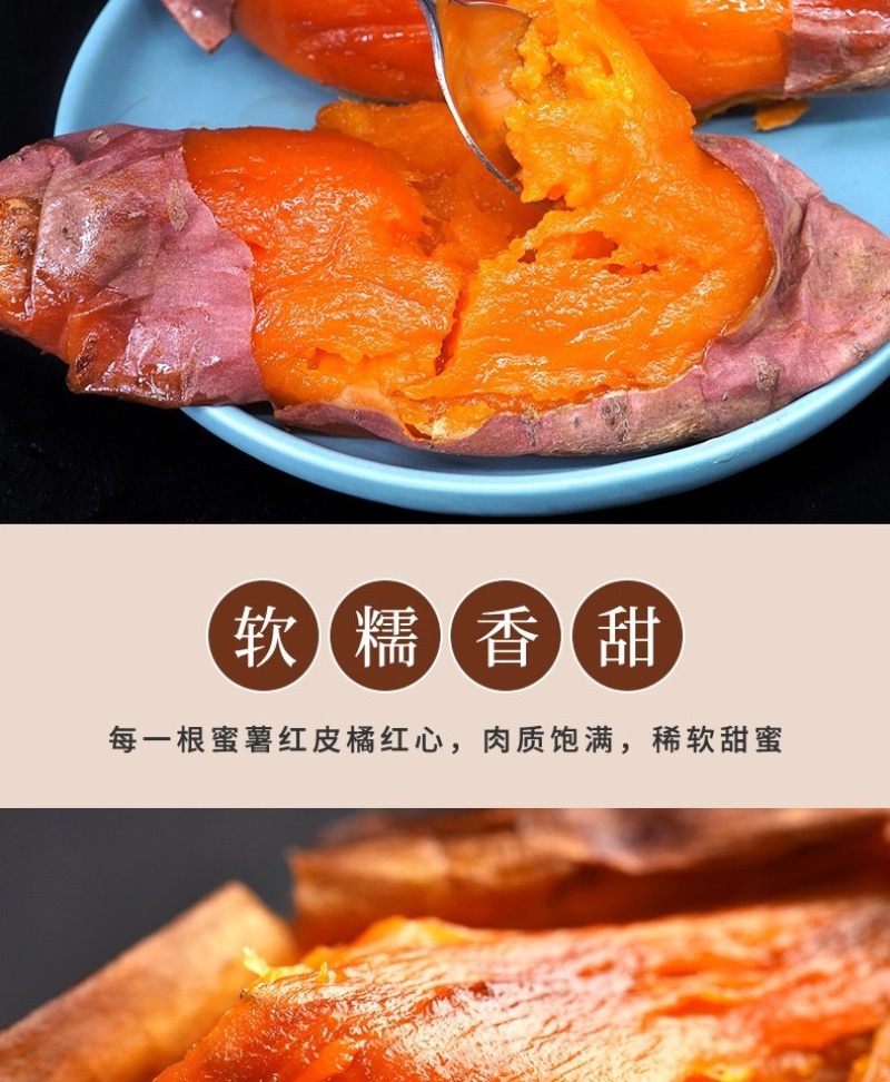 烟薯25蜜薯烤薯一件代发产地直发保质保量对接电商抖手