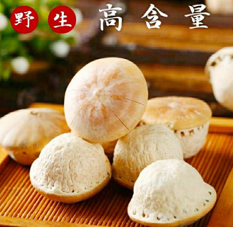 广西野生风流果果仁饱满干品泡酒泡茶煲汤干货包邮