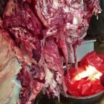 驴肉去皮驴肉