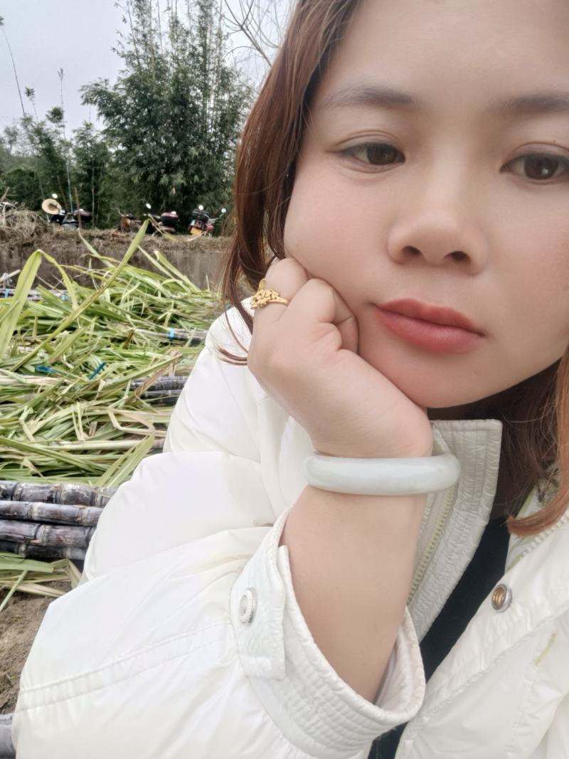 广西甘蔗，黑皮甘蔗，种植基地，对接超市，电商，一级市场货