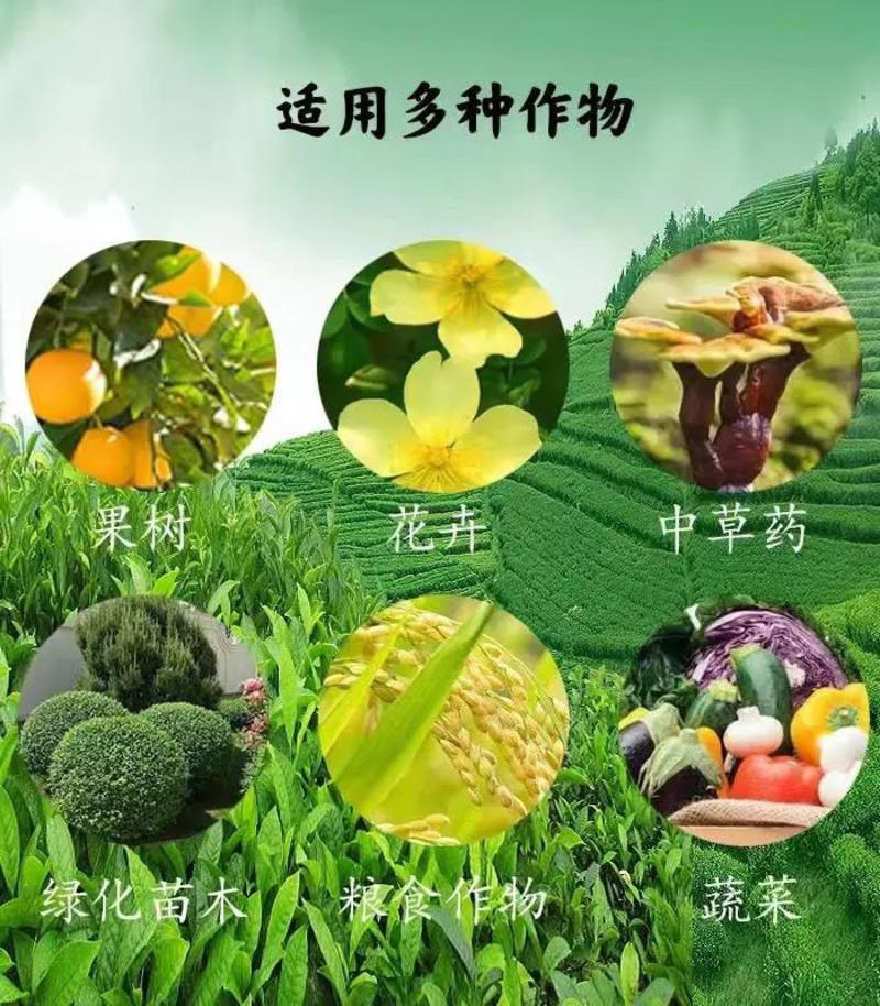 生物菌发酵鸡粪果树肥量大优惠厂家发货，量大从优