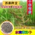 水稗草种子小米草种子水草种子鱼虾蟹养殖牧草量大优惠