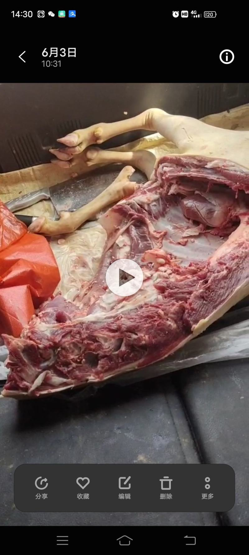贵州黑山羊羊肉