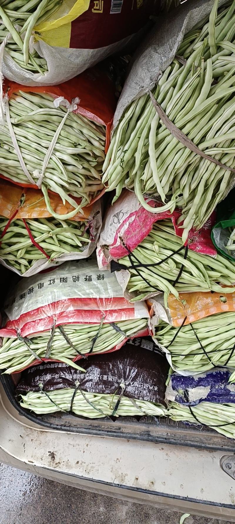 壶关豆王大量上市脱水豆质量漂亮