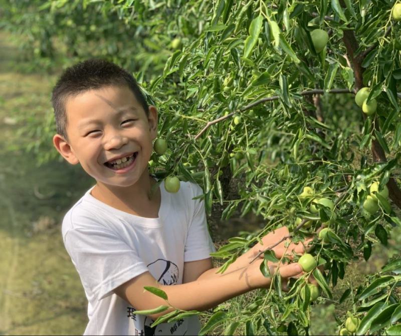 一件代发～山东鲜枣～沾化冬枣～抖音～快手～对接各大电商