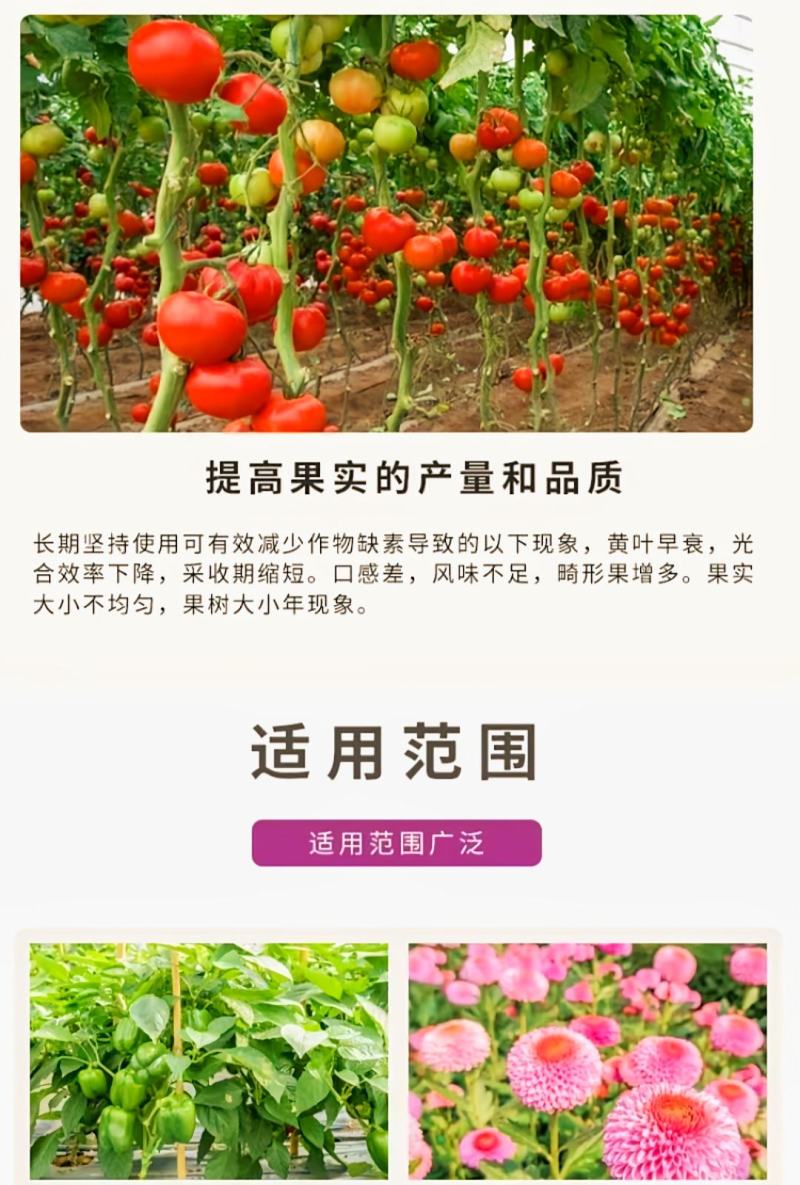 多微钙镁片状水溶肥多种中微量元素补钙补镁预防裂果畸型果