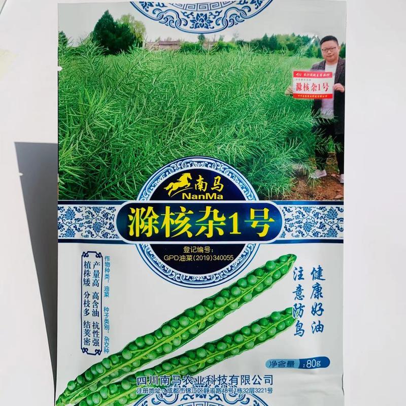 南马滁核杂1号杂交油菜种子矮杆油菜种子高含油抗性强