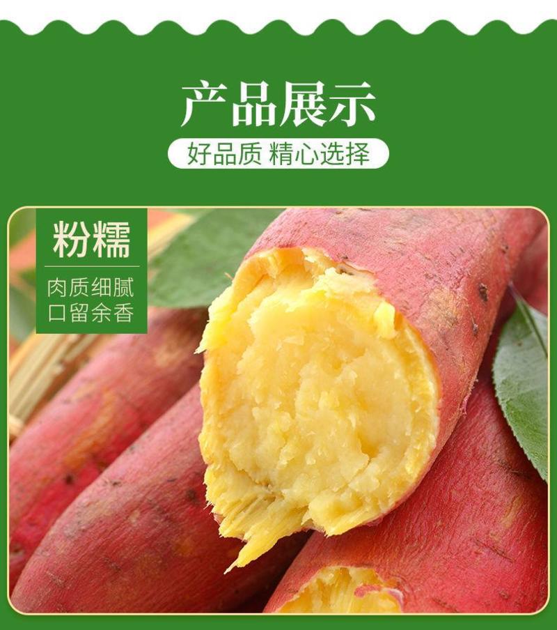 【现货】周口龙九红薯蜜薯软糯香甜欢迎选购
