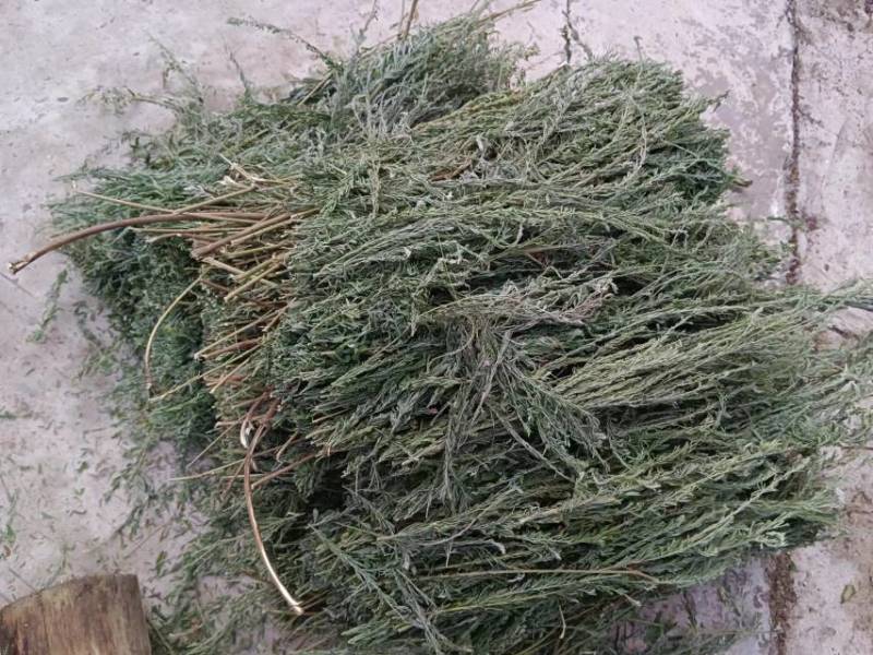 夜关门，新鲜货，干货，现货上午十一点前下单发货，十一点