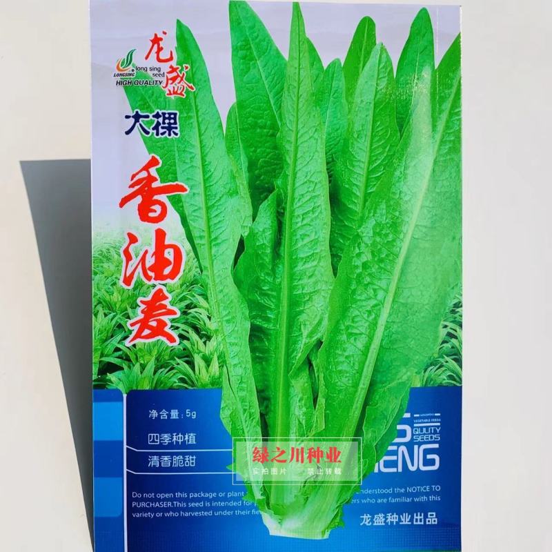 四季种植大棵香油麦菜种子尖叶速生叶菜种子脆嫩鲜香油麦菜