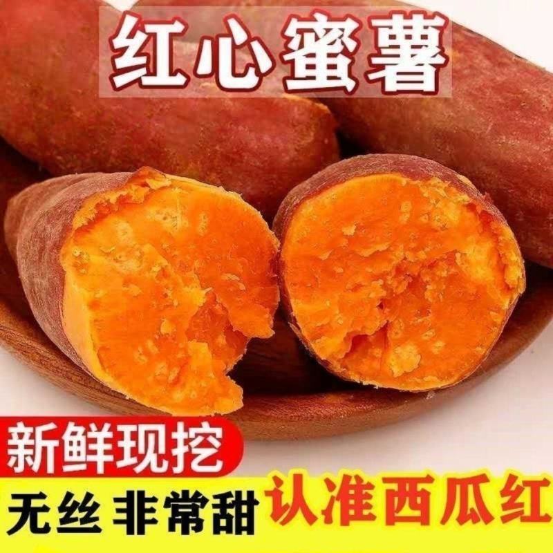 一件代发.龙九，西瓜红，电商货，社区团购，大量现货