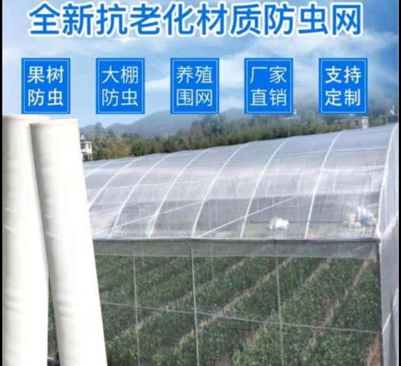 防虫网