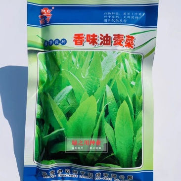 绿亨香味油麦菜种子香味浓，口感脆嫩耐寒耐热四季油麦菜