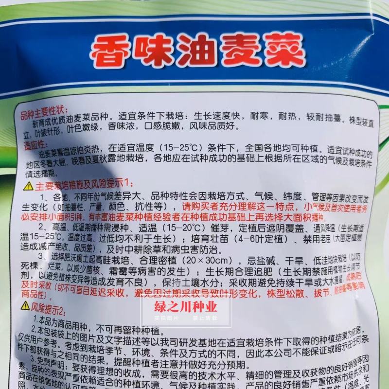 绿亨香味油麦菜种子香味浓，口感脆嫩耐寒耐热四季油麦菜