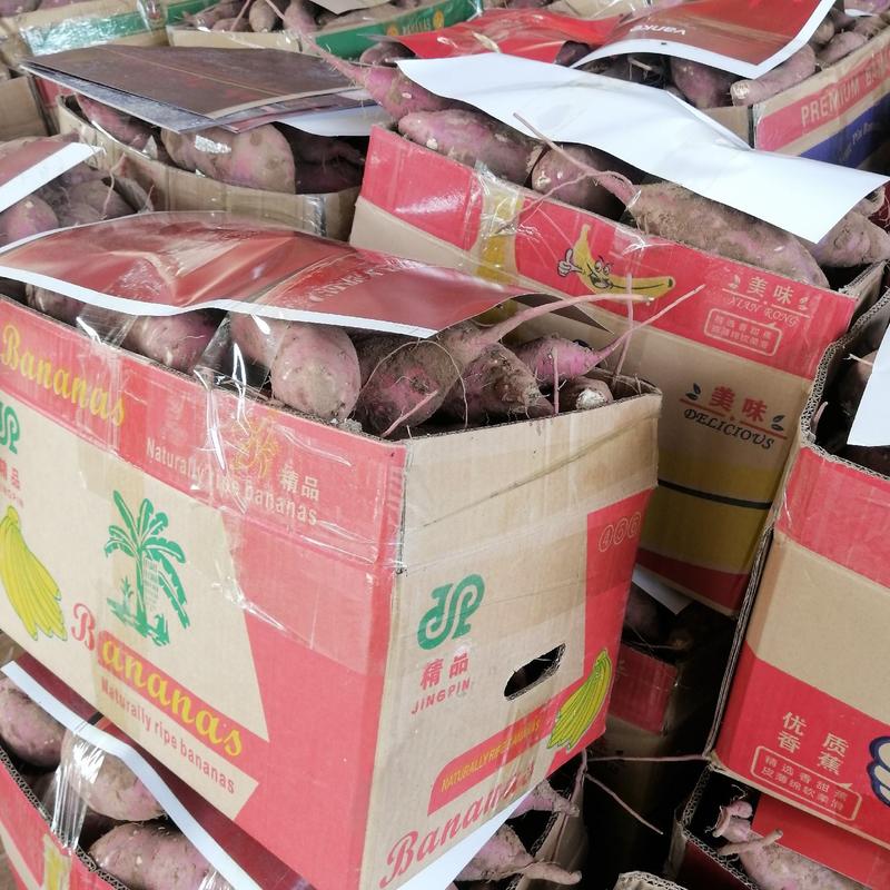 河北省商薯十九红薯大量上市，货源充足对接市场加工厂欢迎来电