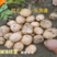 吉林扶余黄心土豆，产地直发，货源充足，保质保量