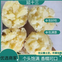 吉林扶余黄心土豆，产地直发，货源充足，保质保量