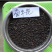 莱雅菊花卉种子耐寒春秋开花荷包鸡蛋花室内盆栽庭院四季易种