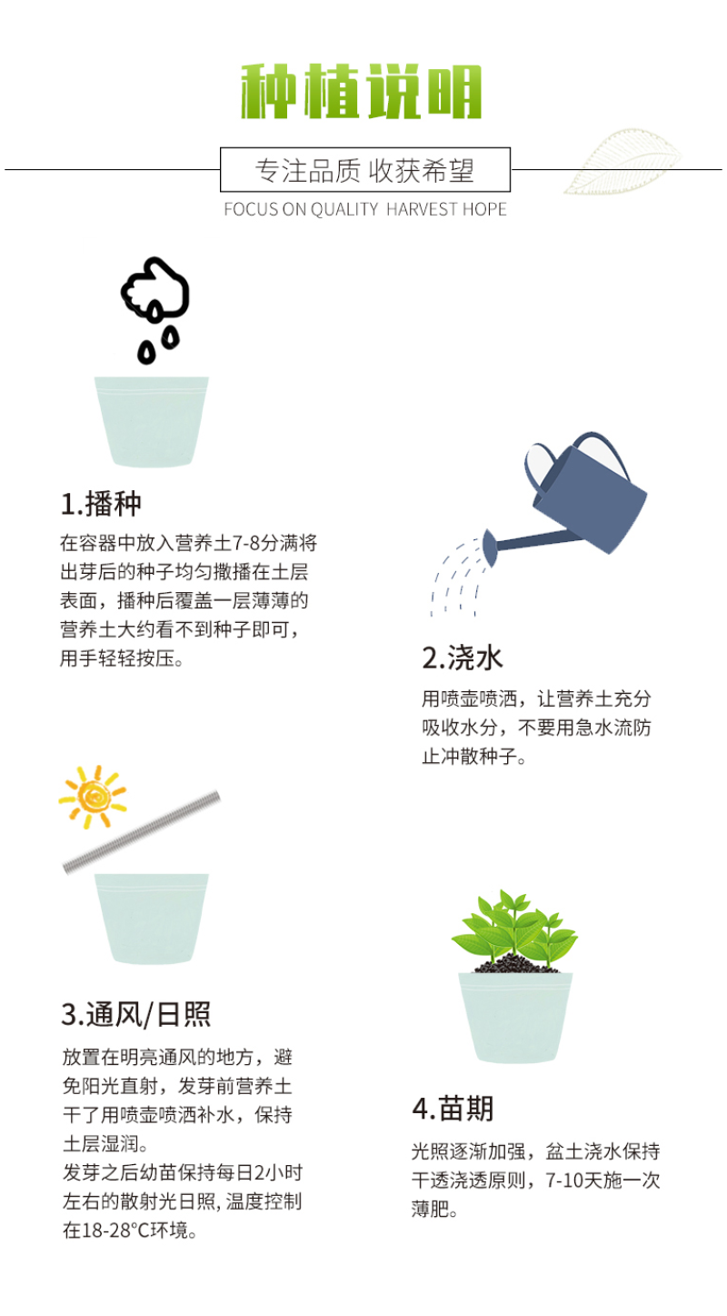 莱雅菊花卉种子耐寒春秋开花荷包鸡蛋花室内盆栽庭院四季易种