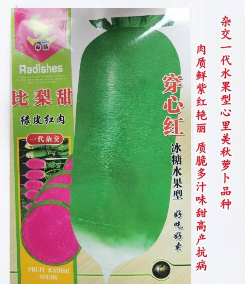 穿心红绿皮红肉萝卜种子比梨甜红心水果萝卜种子甜脆多汁