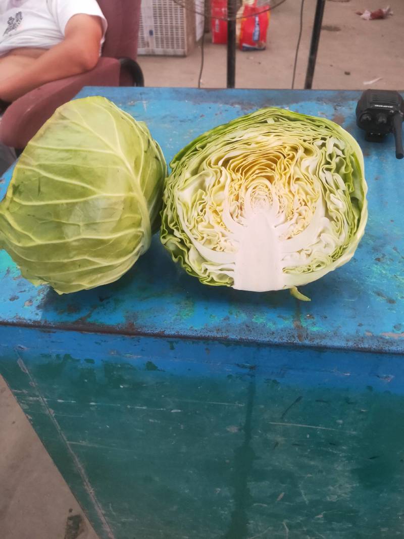 代购代销各种疏菜，需要的老板通一亩田联系我