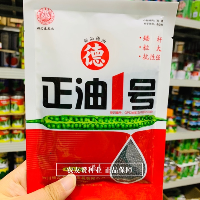 新品德油正油1号油菜籽种子矮杆油菜种子粒大抗性强高产