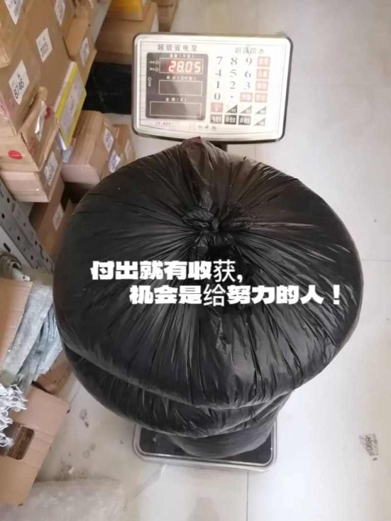 九香虫臭屁虫大量上货