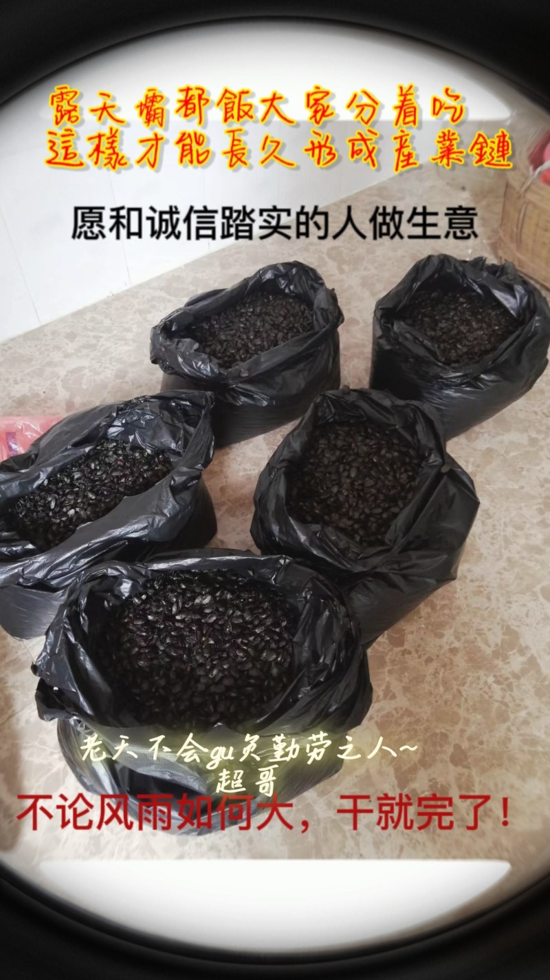 九香虫臭屁虫大量上货