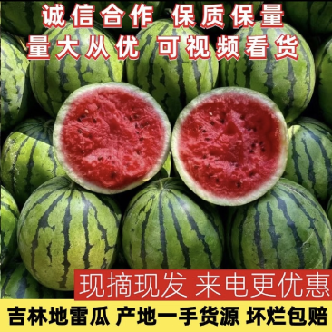 东北吉林地雷园瓜大量上市中，大红壤小薄皮小黑籽，糖度高