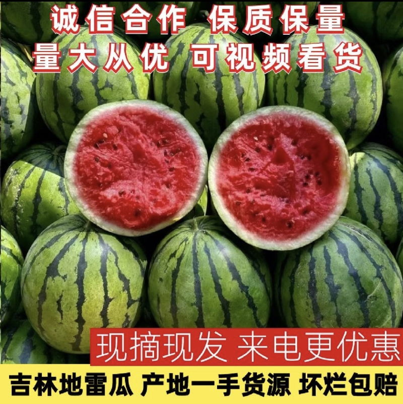东北吉林地雷园瓜大量上市中，大红壤小薄皮小黑籽，糖度高
