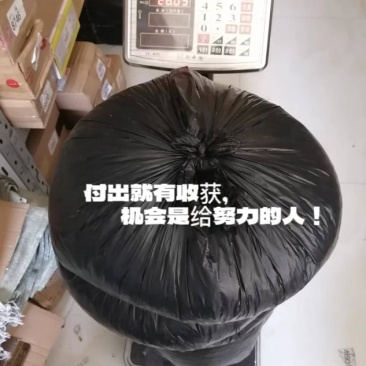 九香虫臭屁虫大量上货