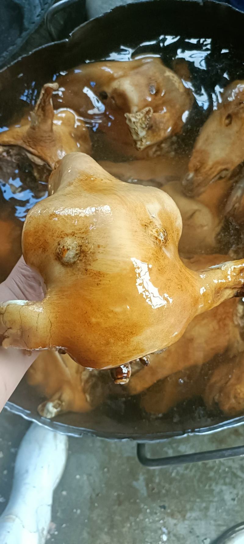 火燎羊头，个个都是精品